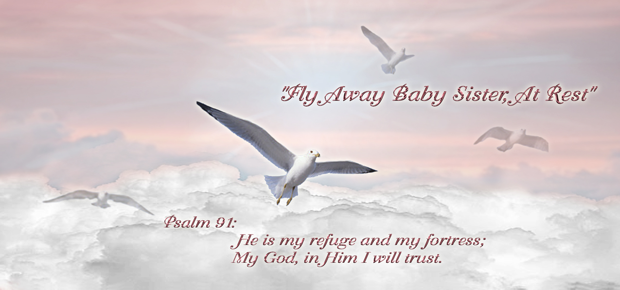 Journey Home Pink (Fly Away Baby Sister) PROOF